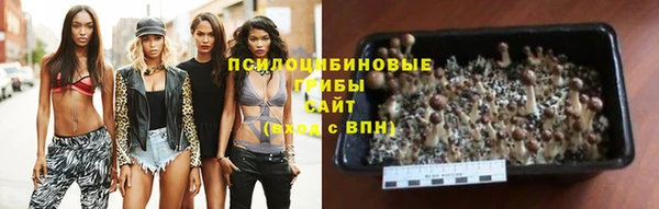 каннабис Медвежьегорск
