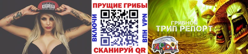 Псилоцибиновые грибы Magic Shrooms  hydra как войти  Острогожск 